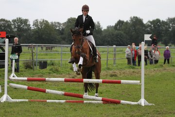 Bild 1340 - WBO-Turnier am 18.9.11